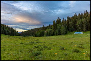 Horse Camp Trips in the West Elk Wilderness